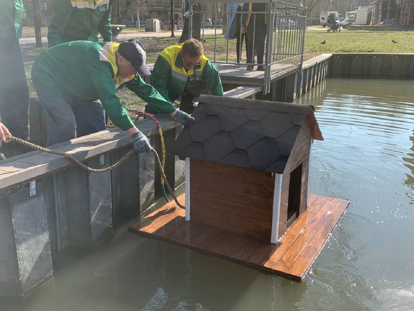 долгопрудный, парки, утки, чайки, пруды, домик для уток,