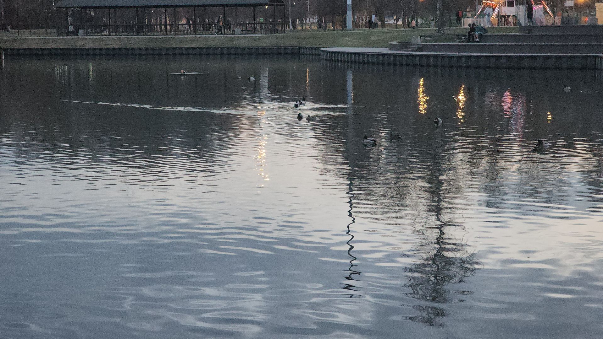 долгопрудный, парки, утки, чайки, пруды, домик для уток,