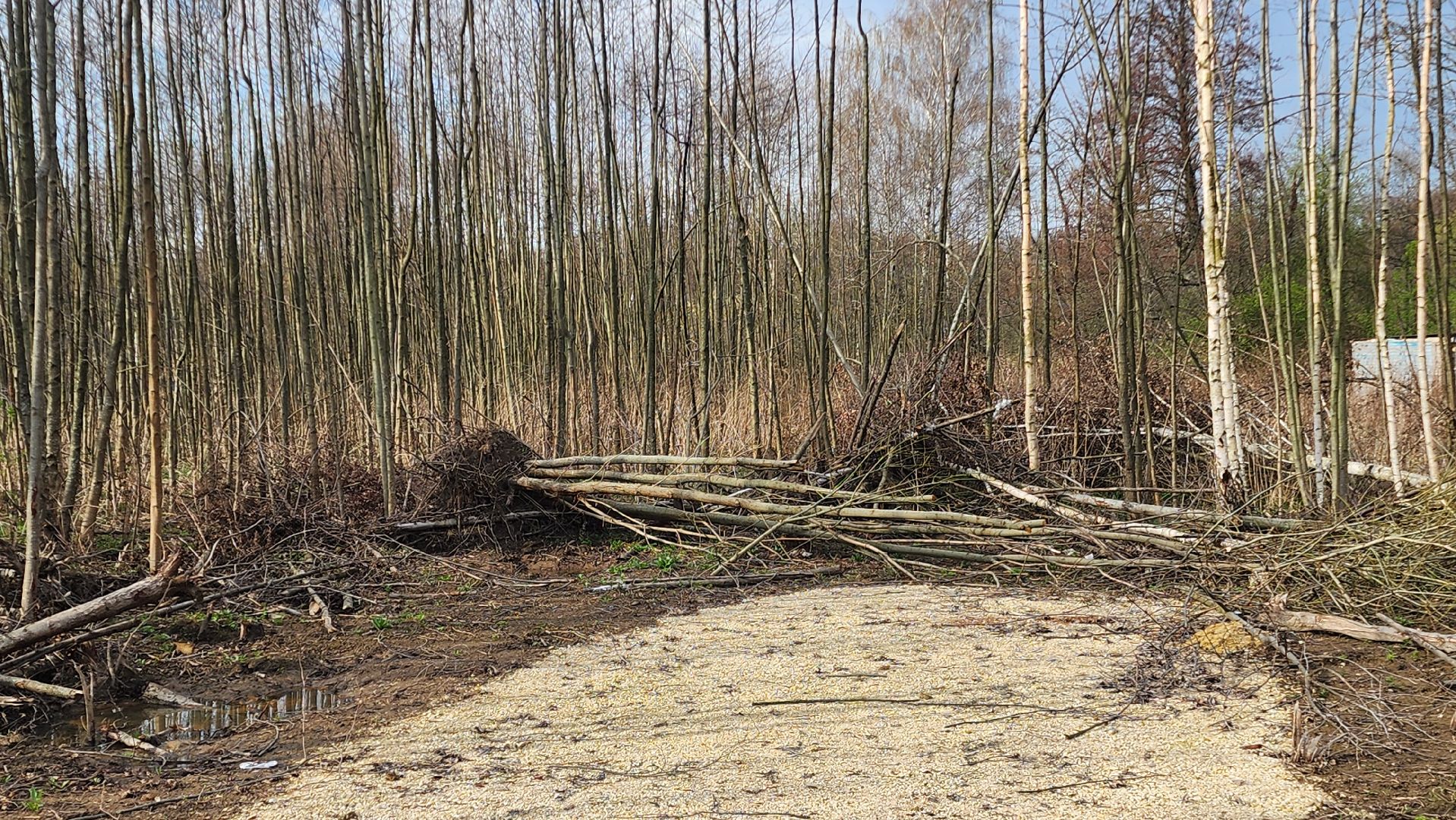 бронницы, выездная администиация, ремонт дороги,