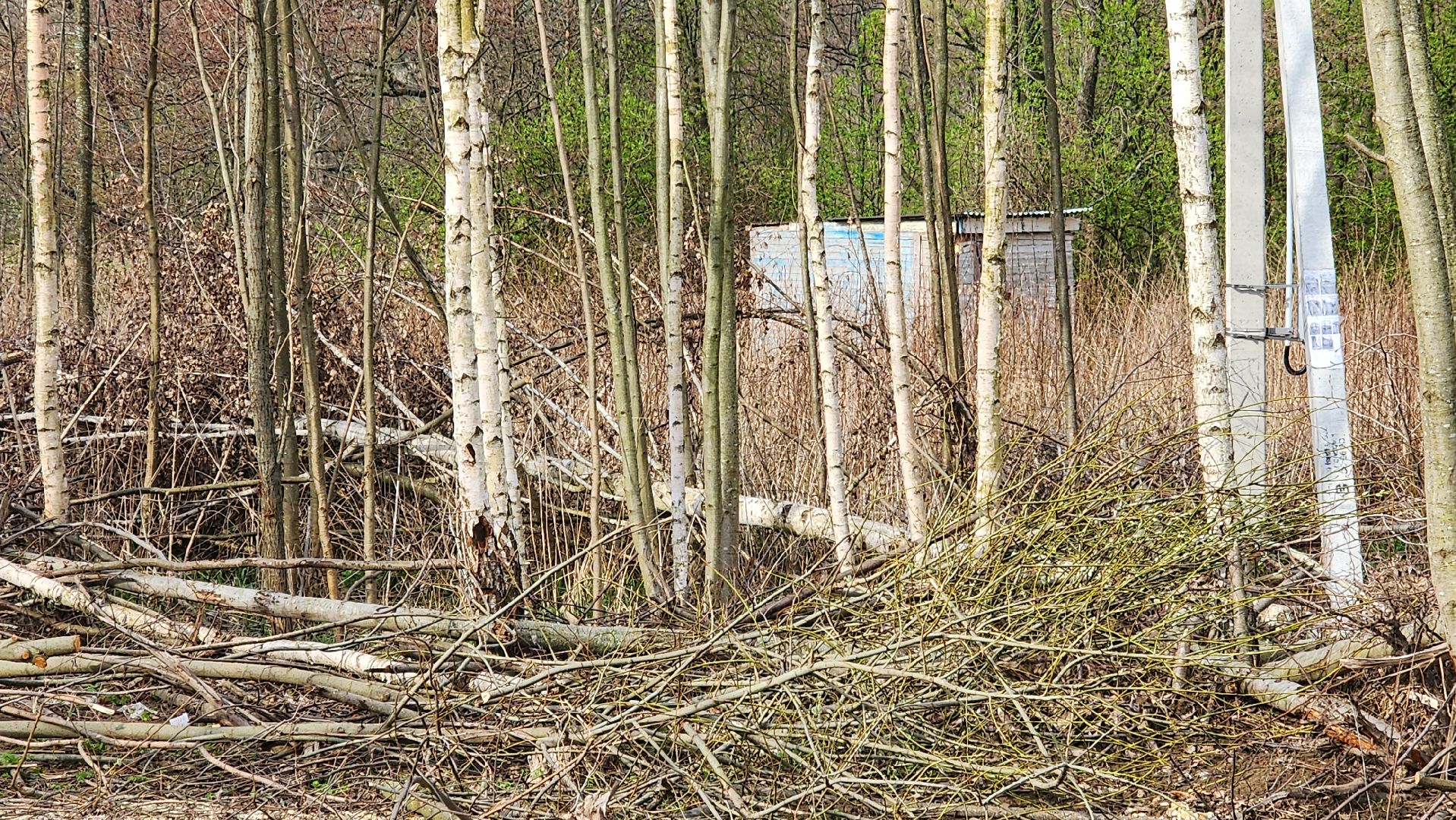 бронницы, выездная администиация, ремонт дороги,