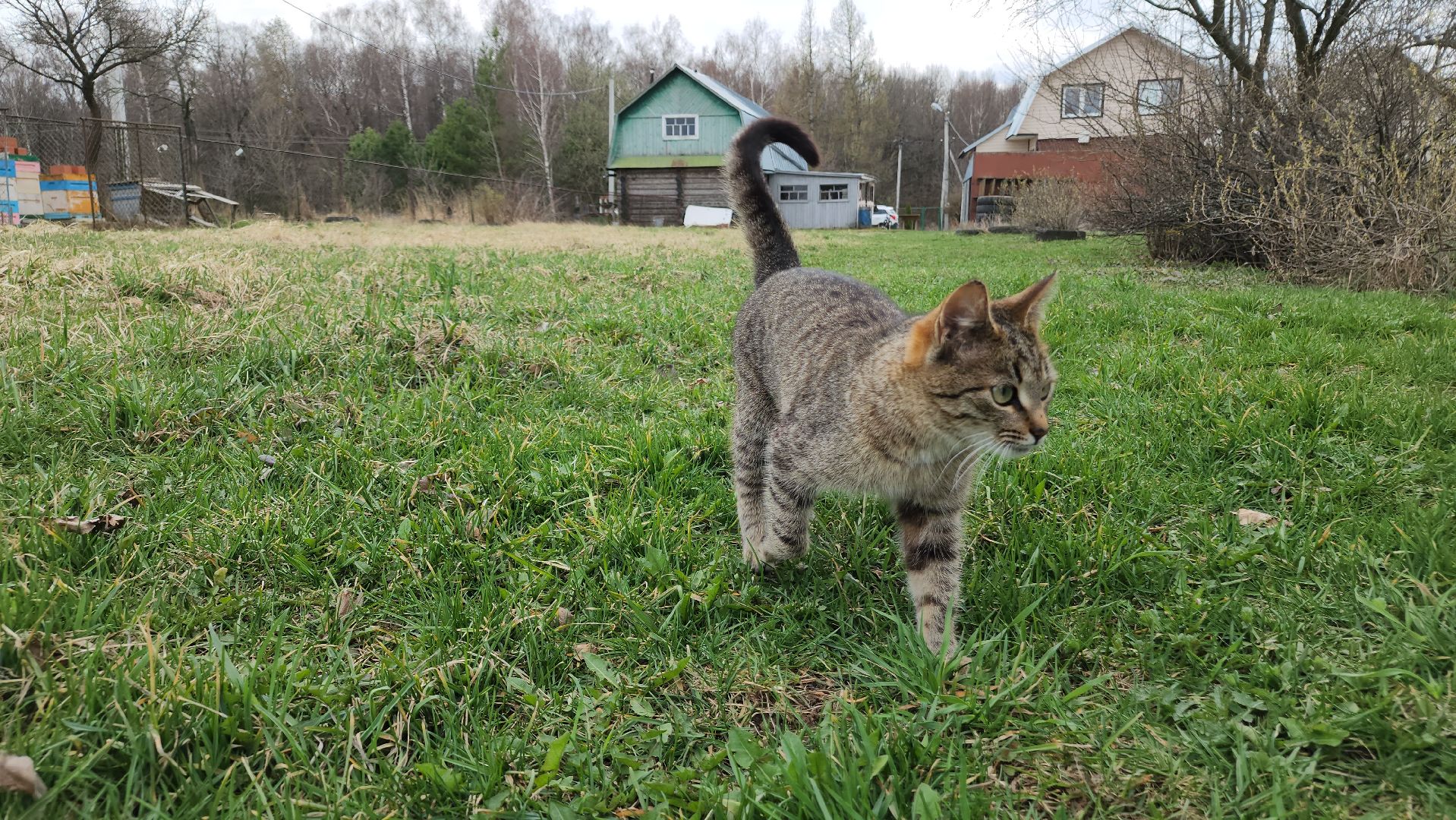 ступино, пасха, история, религия,
