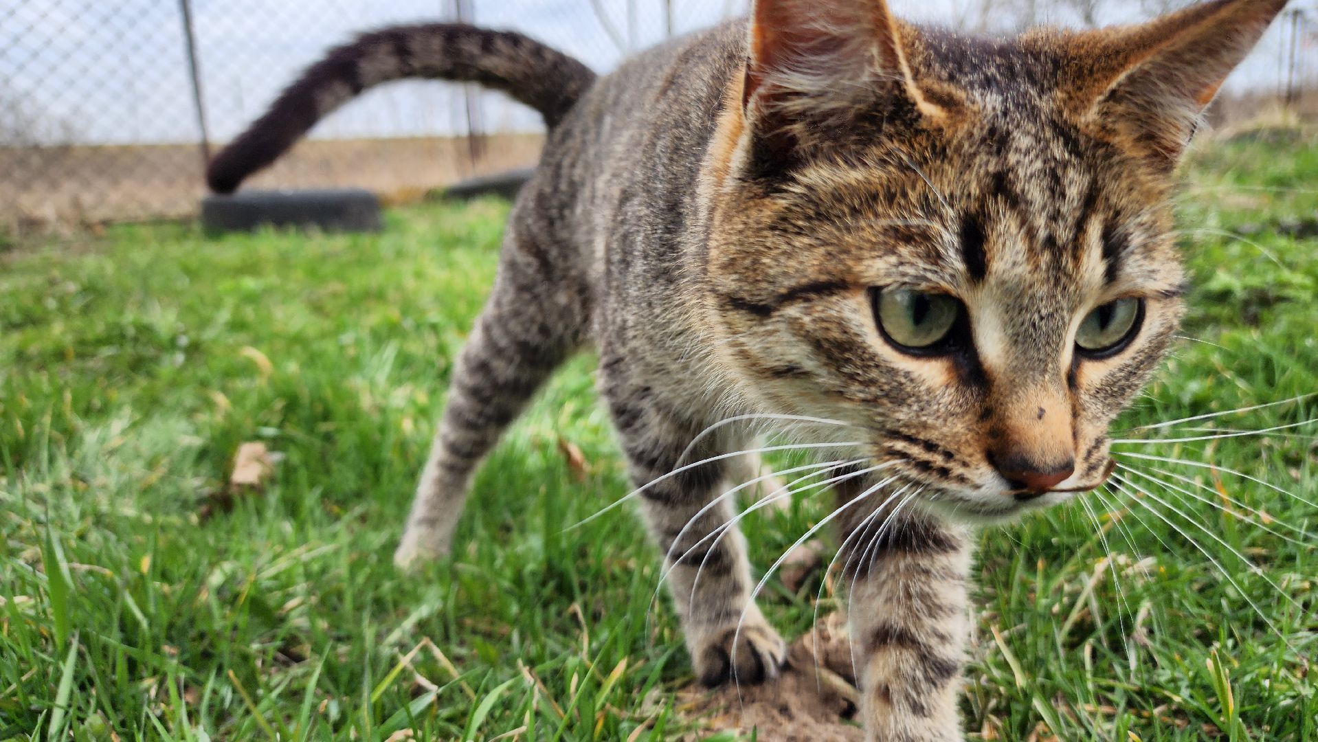 ступино, пасха, история, религия,