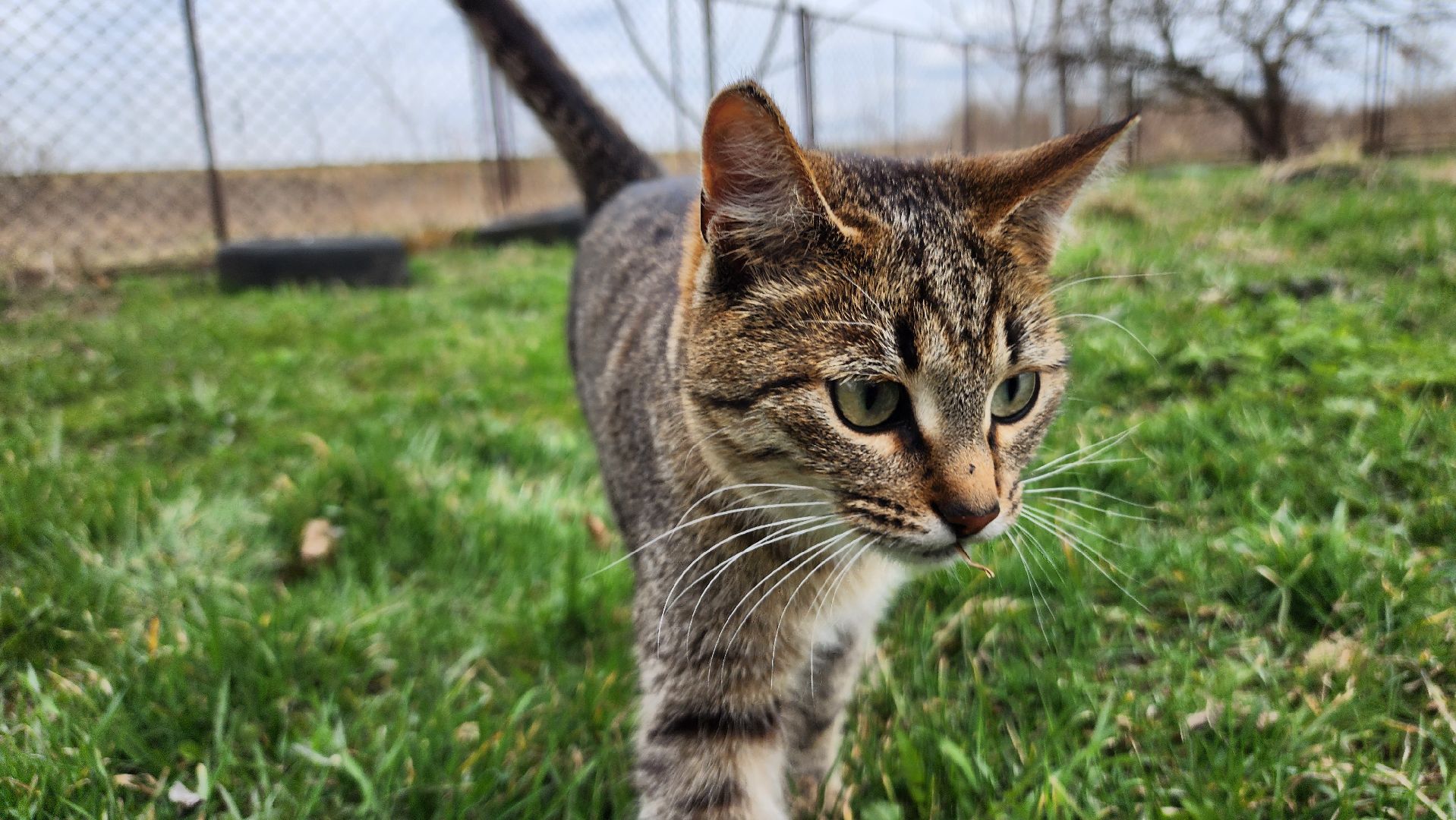 ступино, пасха, история, религия,