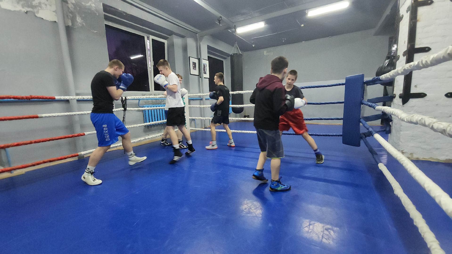 Бокс, Лобня, Соревнования ,