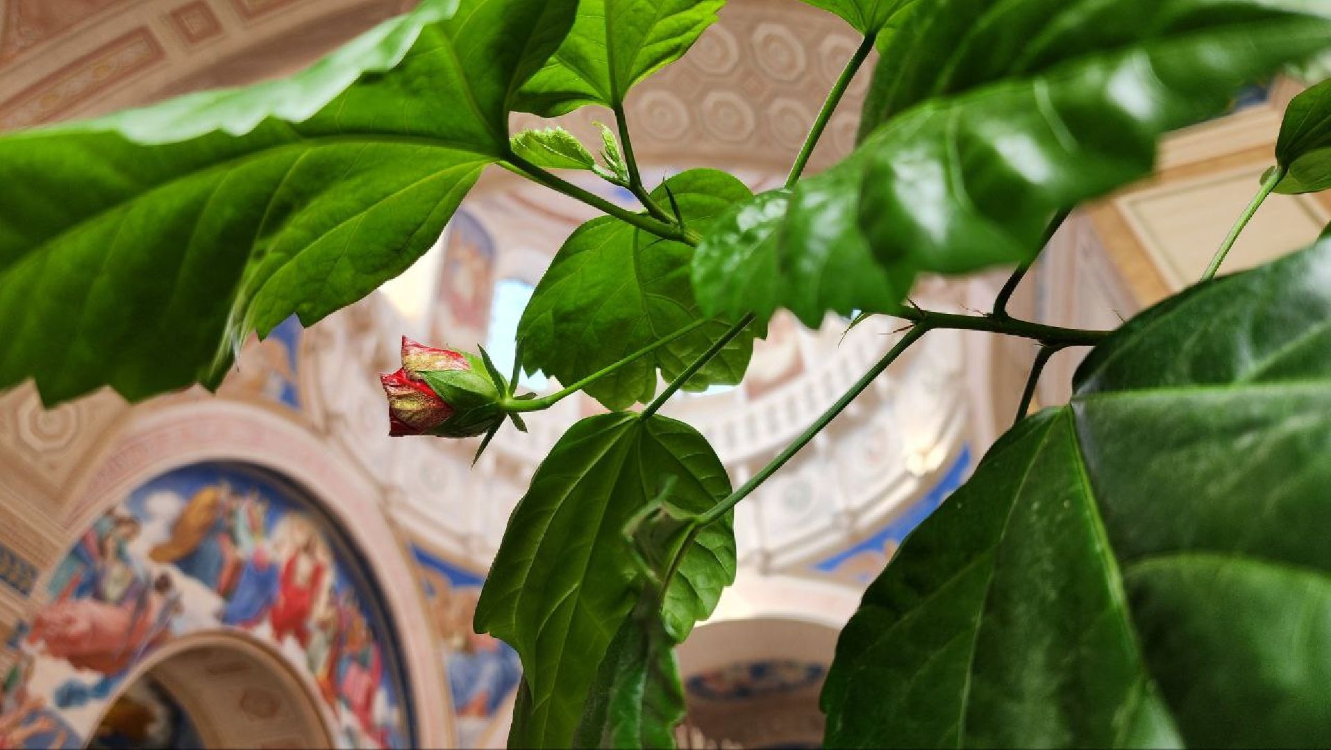 луховицы, дединово, пасха,