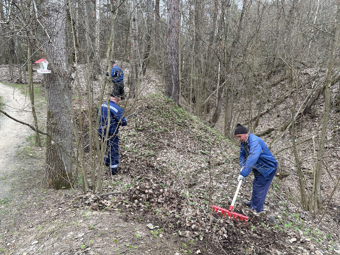 субботник , домодедово,
