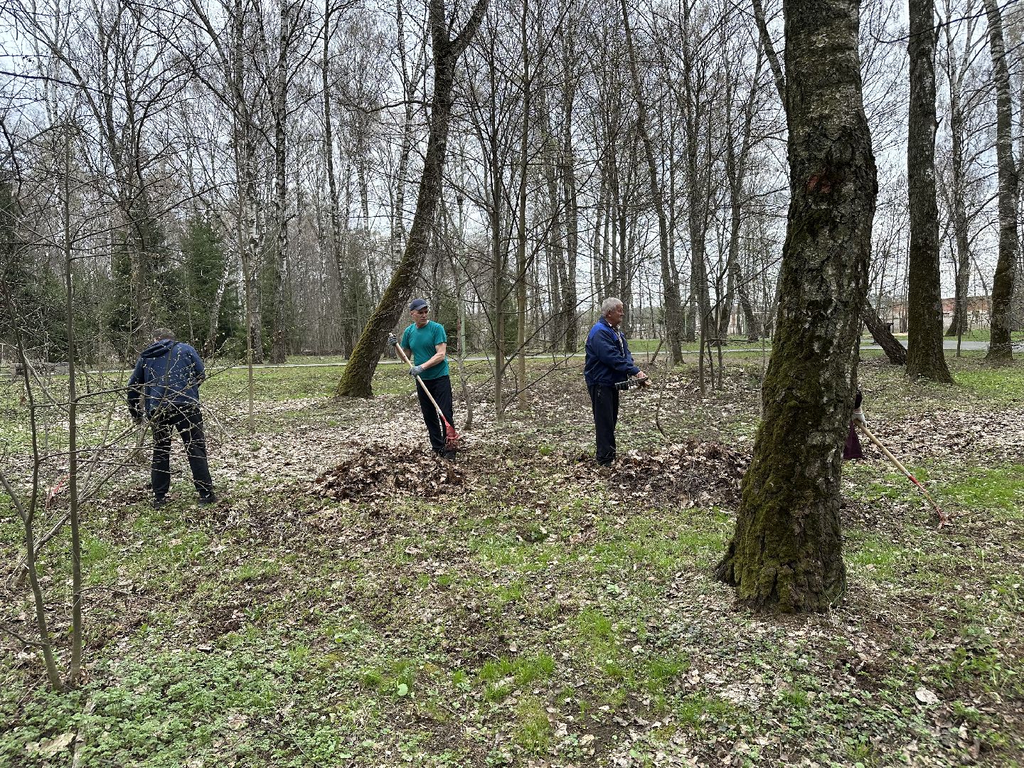 субботник , домодедово,