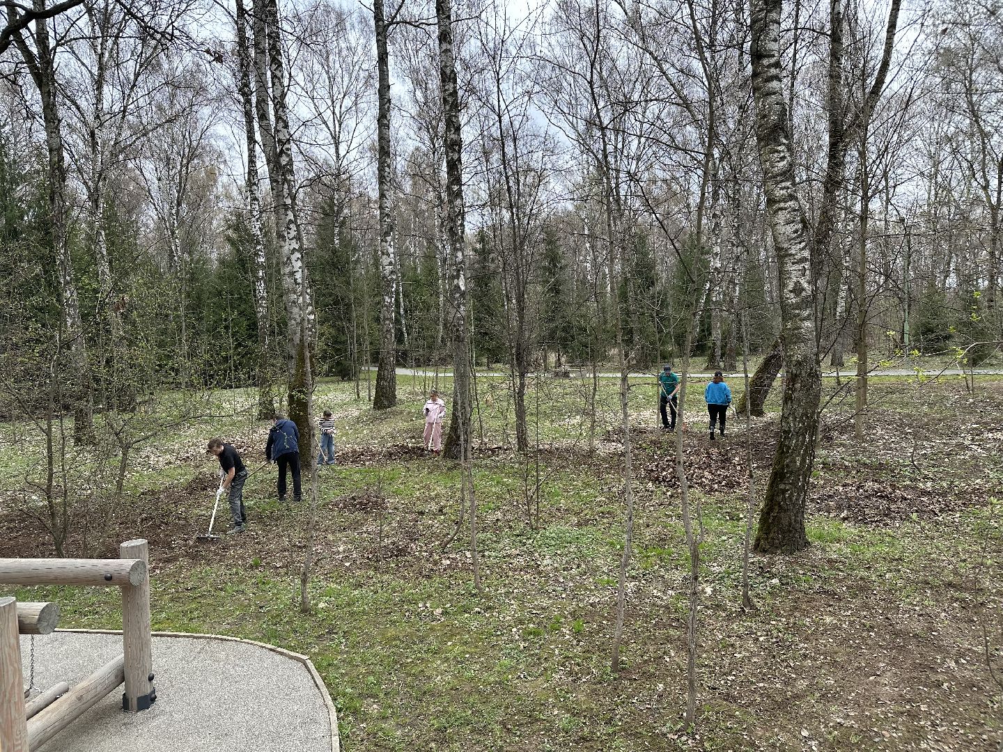 субботник , домодедово,