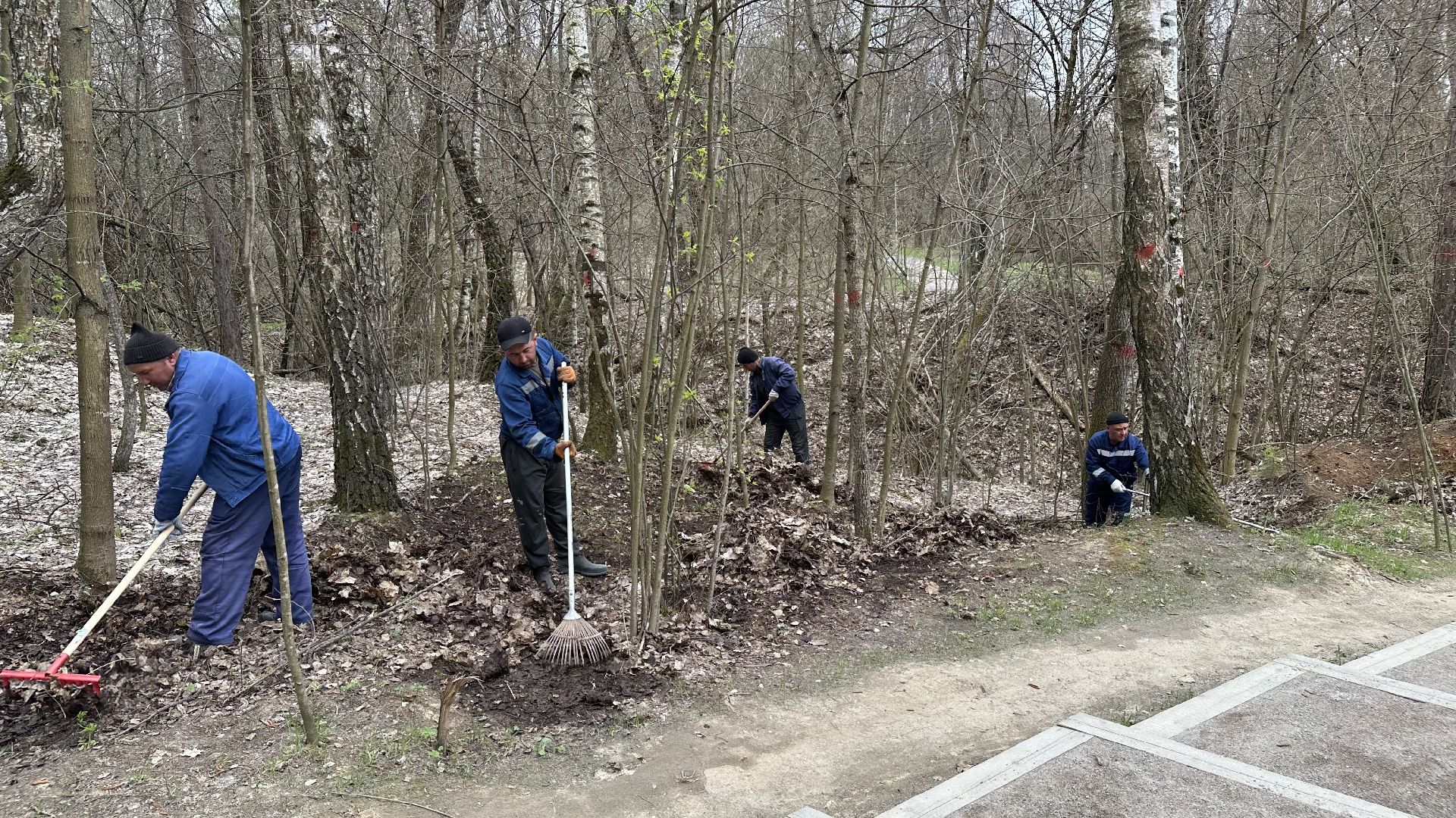 субботник , домодедово,