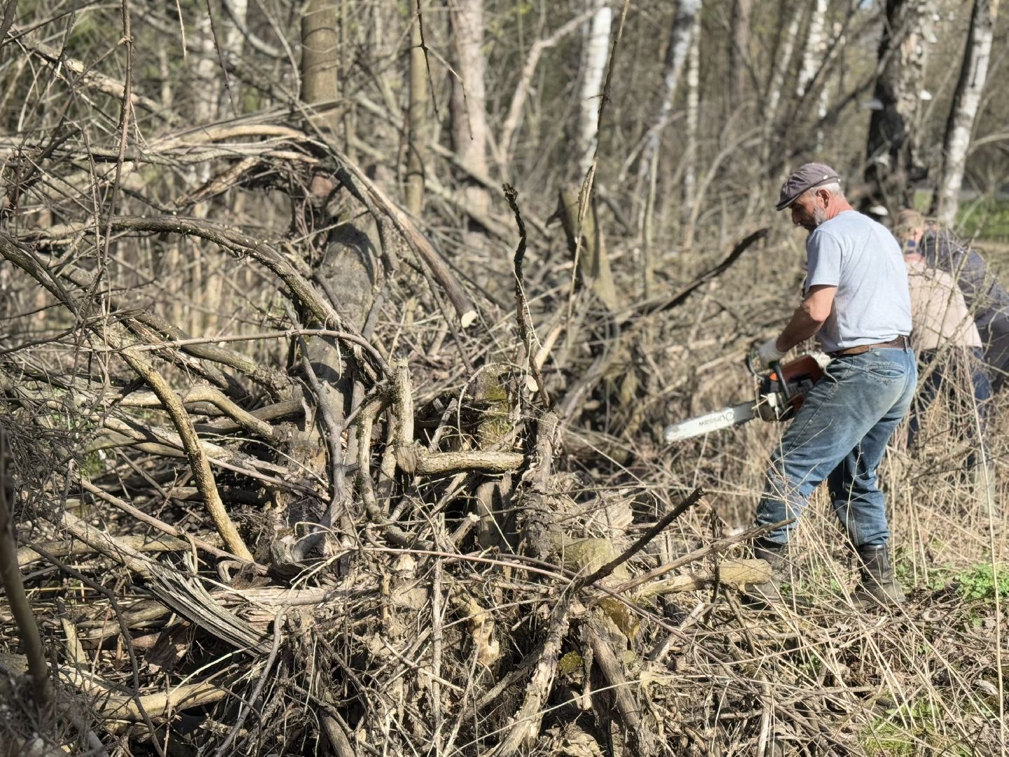 Кучинский лесопарк, субботник, балашиха,