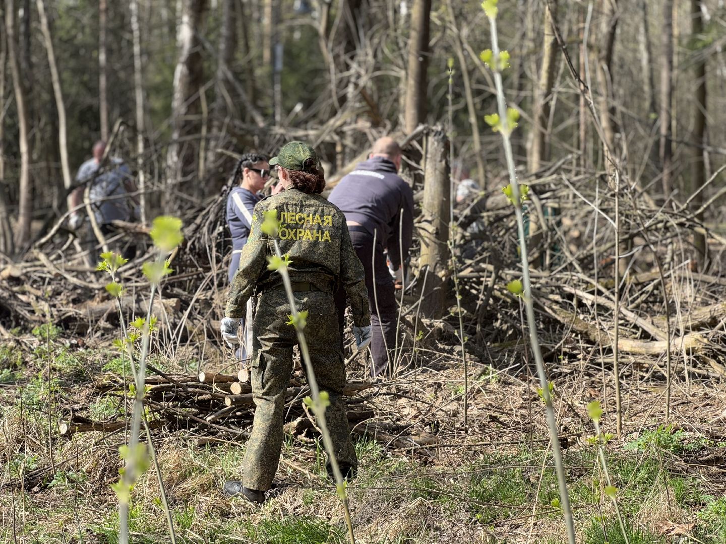 Кучинский лесопарк, субботник, балашиха,