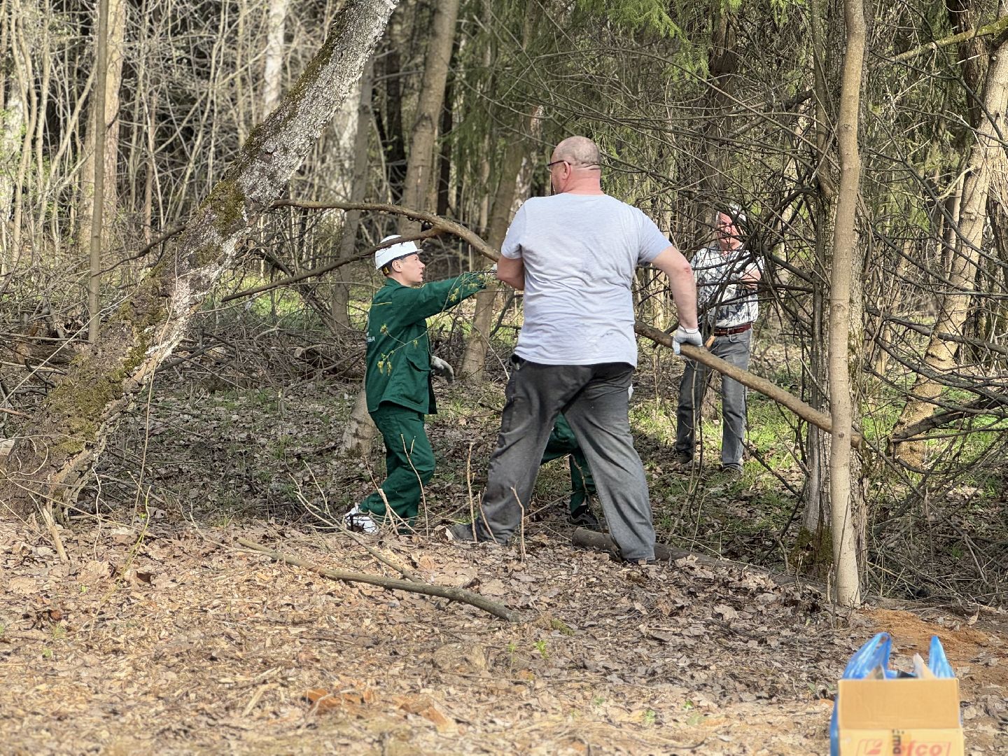 Кучинский лесопарк, субботник, балашиха,