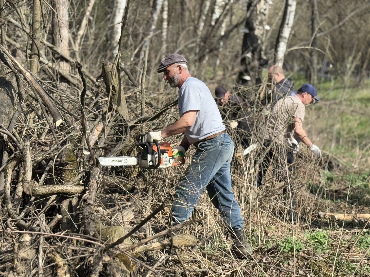 Кучинский лесопарк, субботник, балашиха,