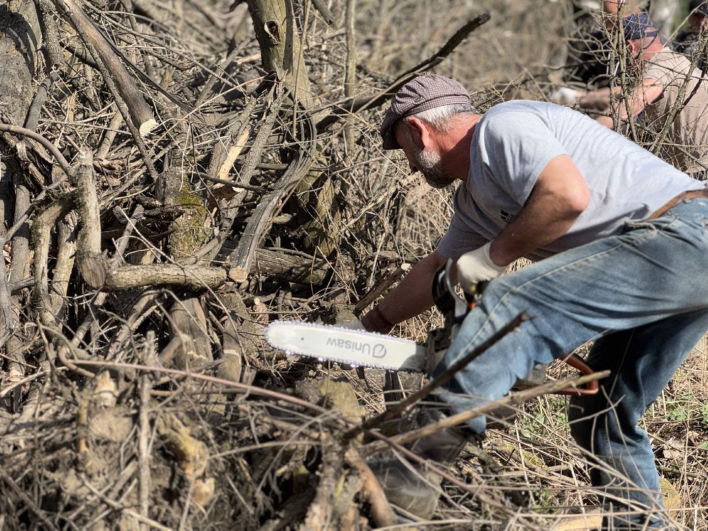 Кучинский лесопарк, субботник, балашиха,