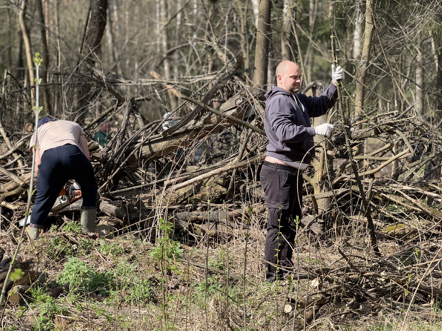 Кучинский лесопарк, субботник, балашиха,