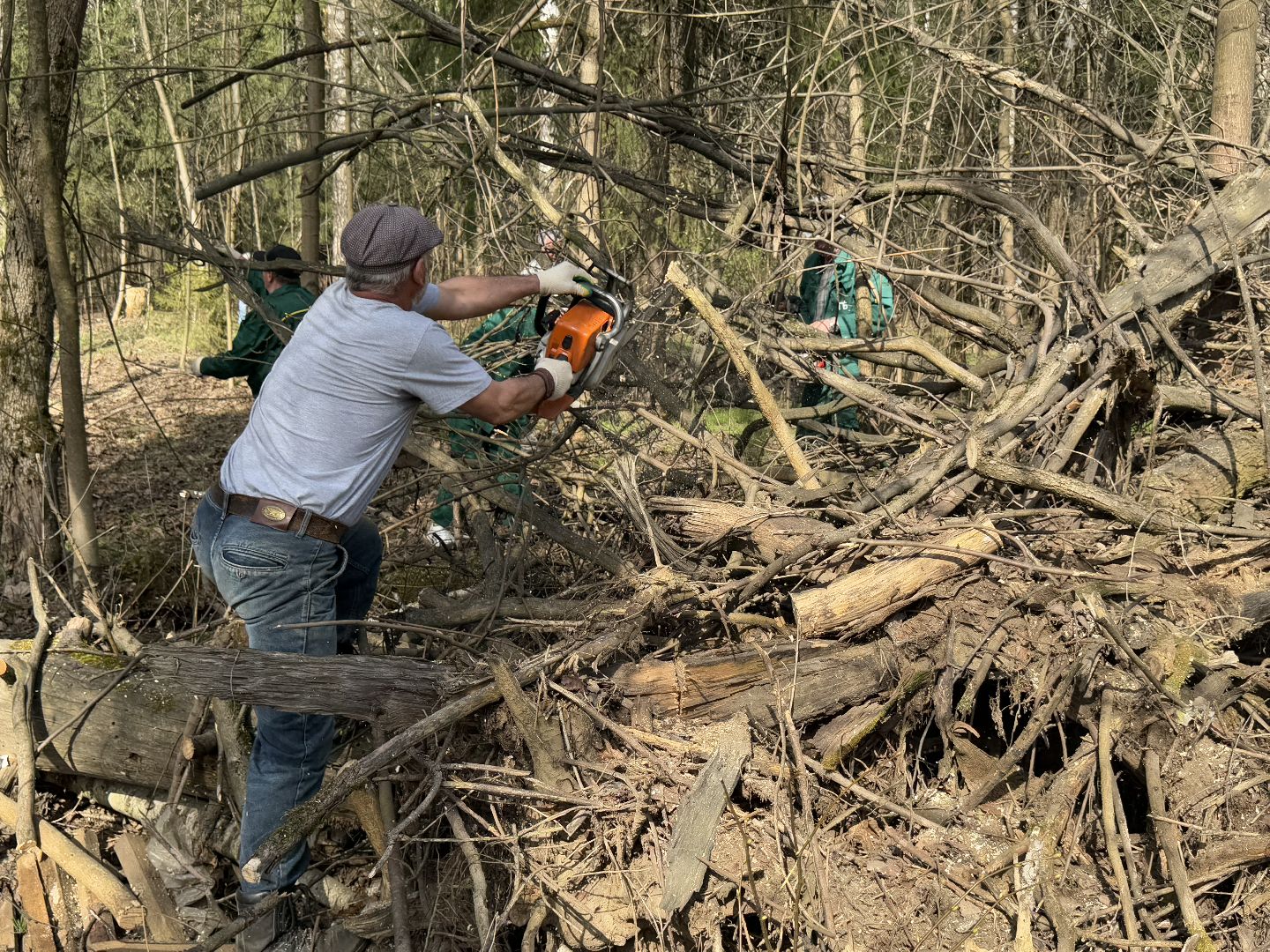 Кучинский лесопарк, субботник, балашиха,