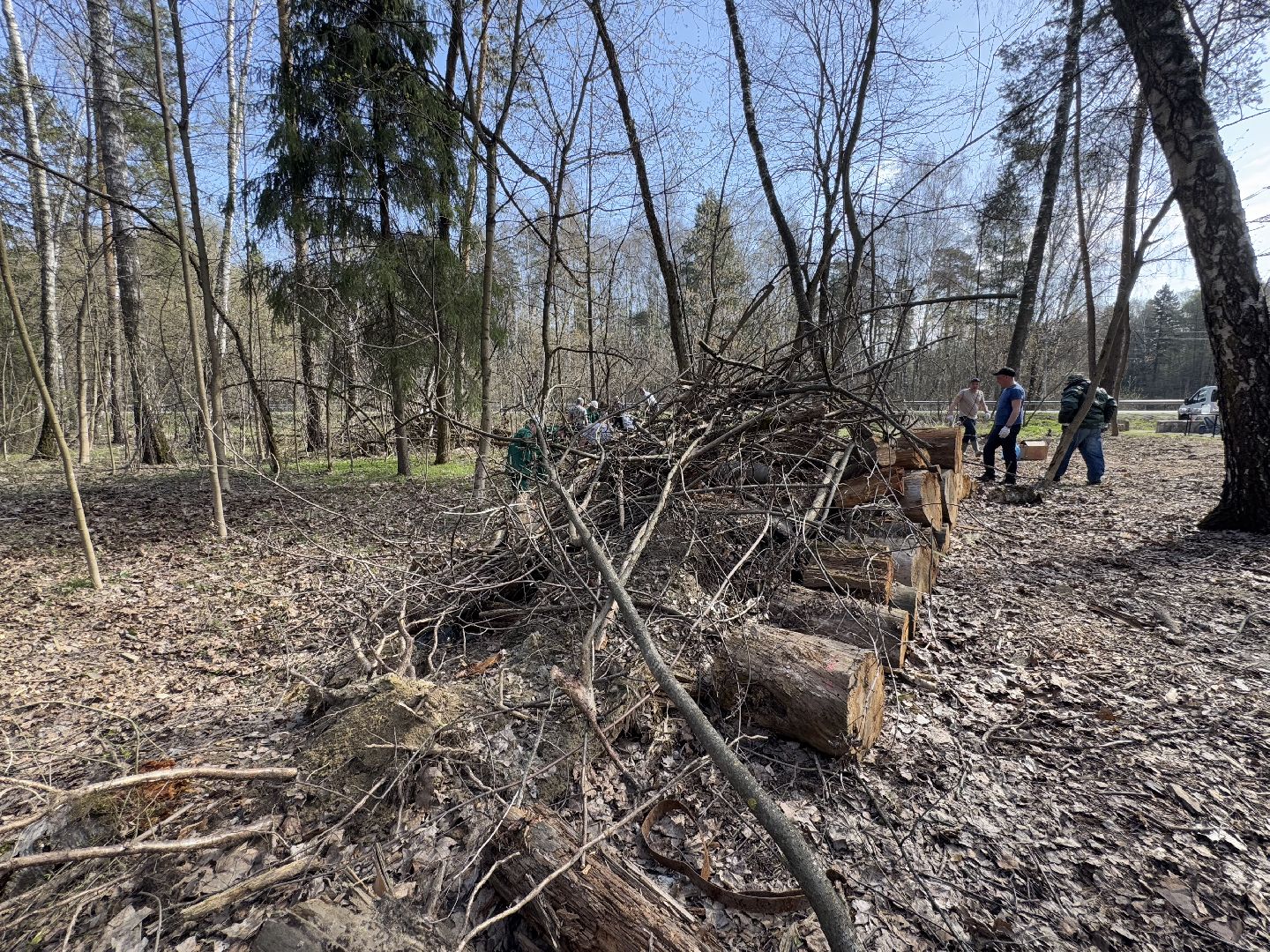 Кучинский лесопарк, субботник, балашиха,