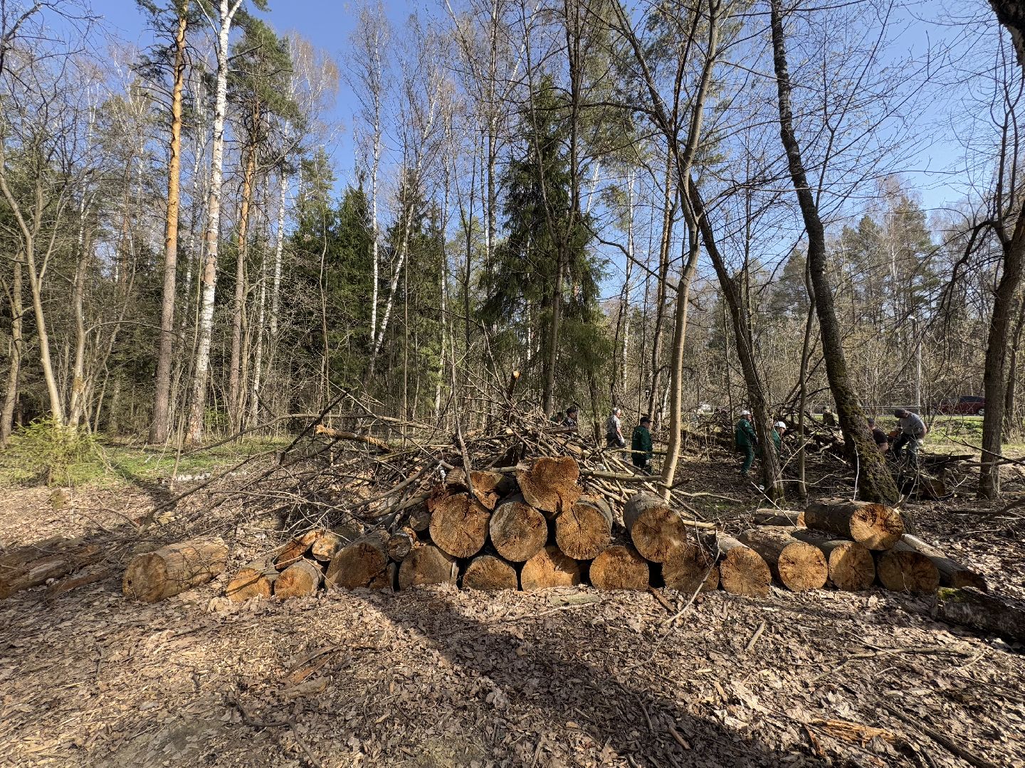 Кучинский лесопарк, субботник, балашиха,