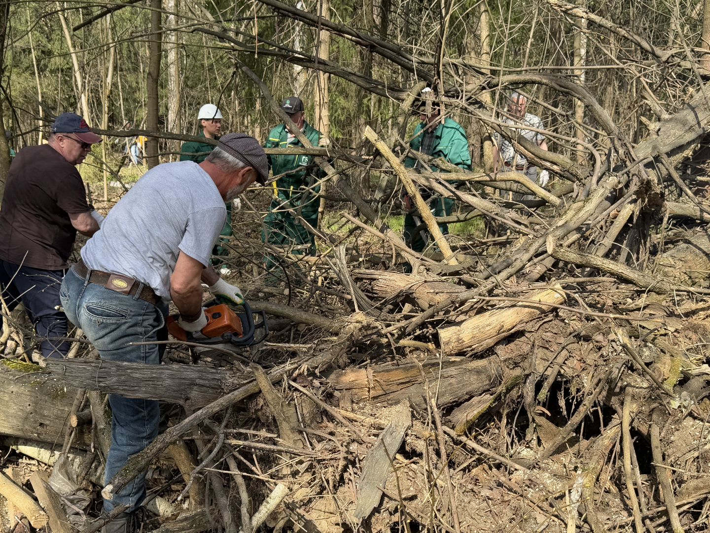 Кучинский лесопарк, субботник, балашиха,