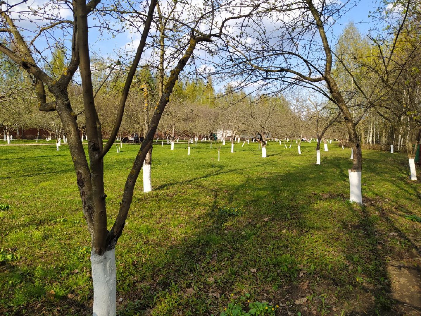 Нахабино, зоны отдыха, Истра, Нахабинка, набережная