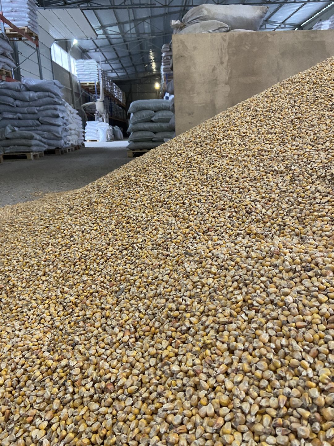 Волоколамск