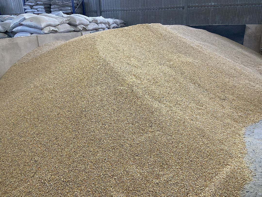 Волоколамск