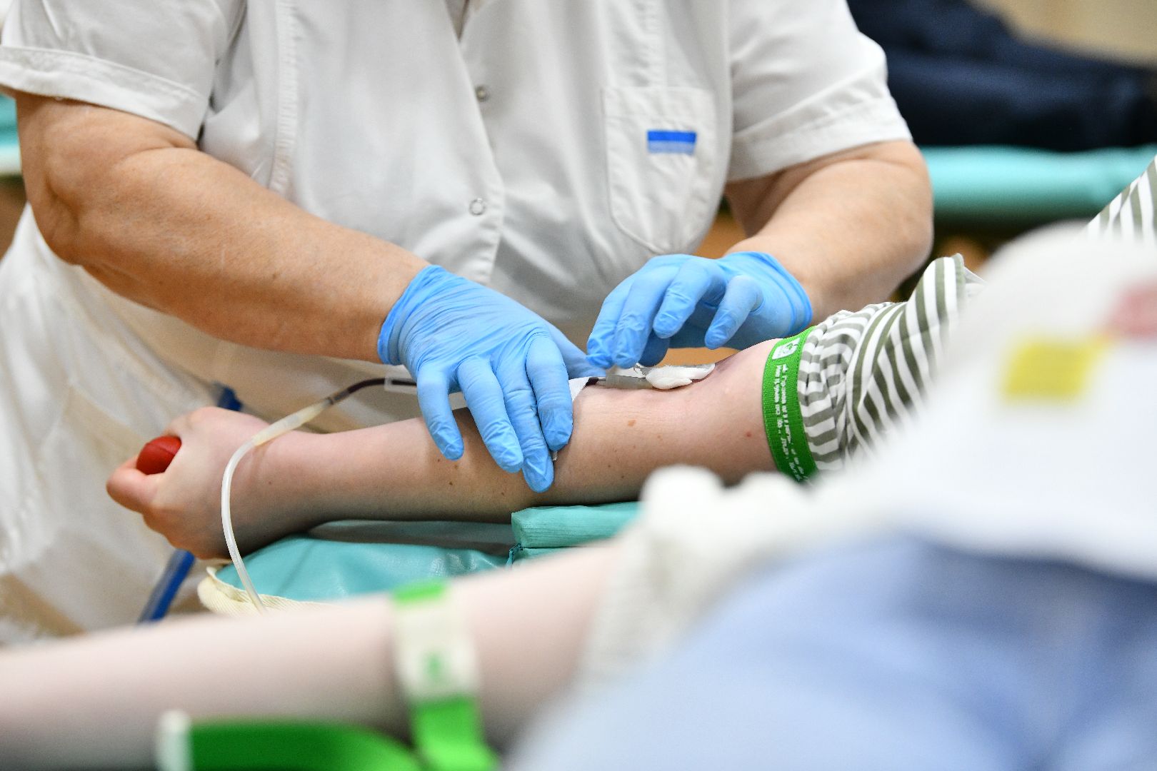 кровь, акция, донор,