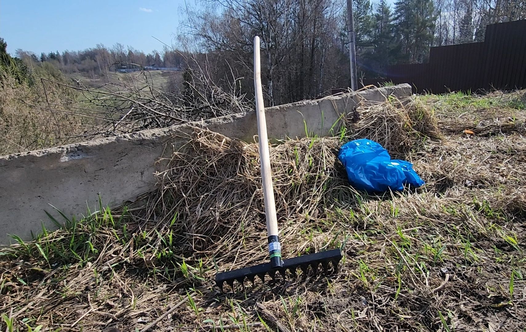 субботник, мусор, сбор,