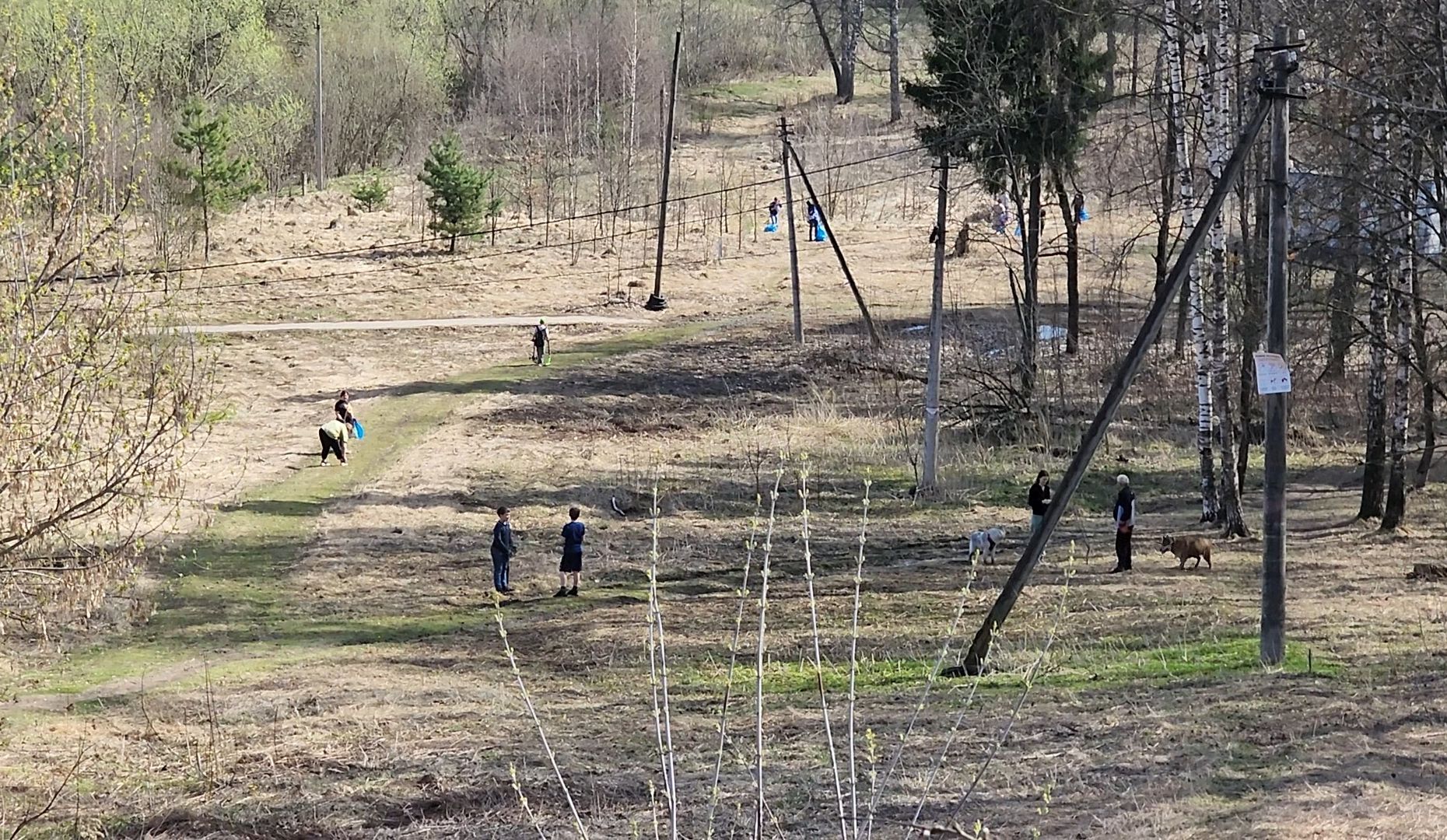 субботник, мусор, сбор,