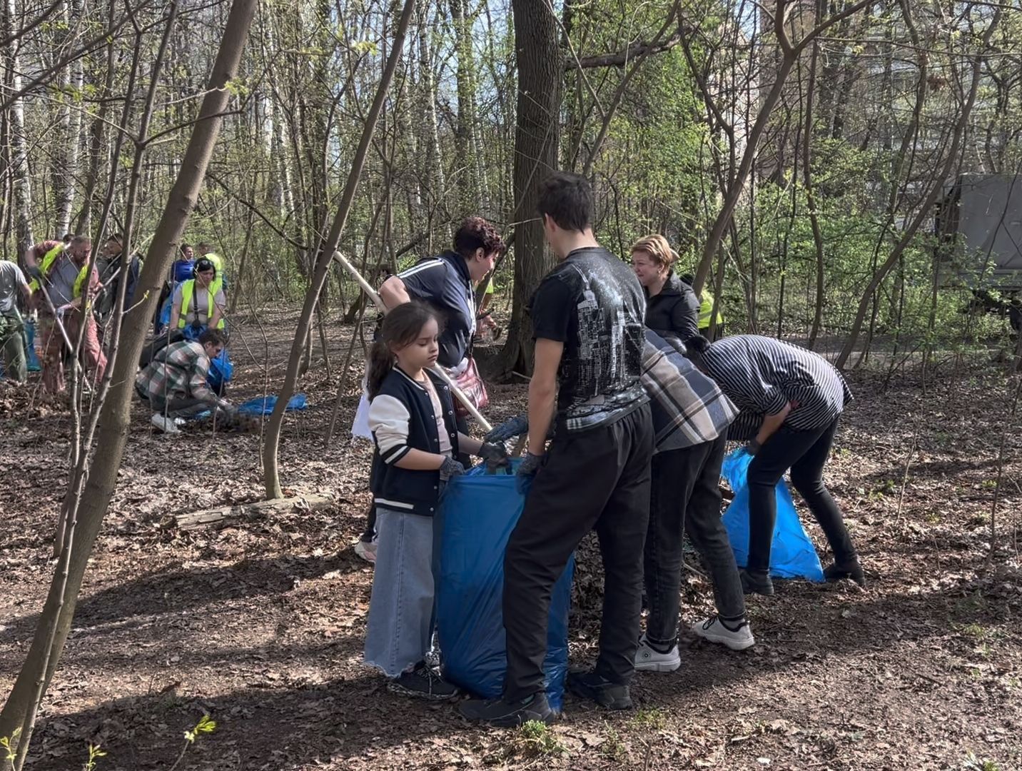 субботник, мусор, сбор,