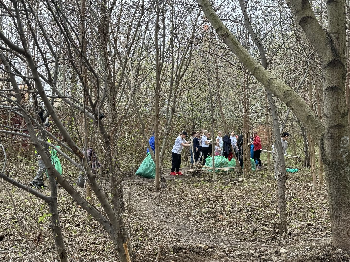 субботник, сквер сосенки, ленинский городской округ, жители ленинского округа,