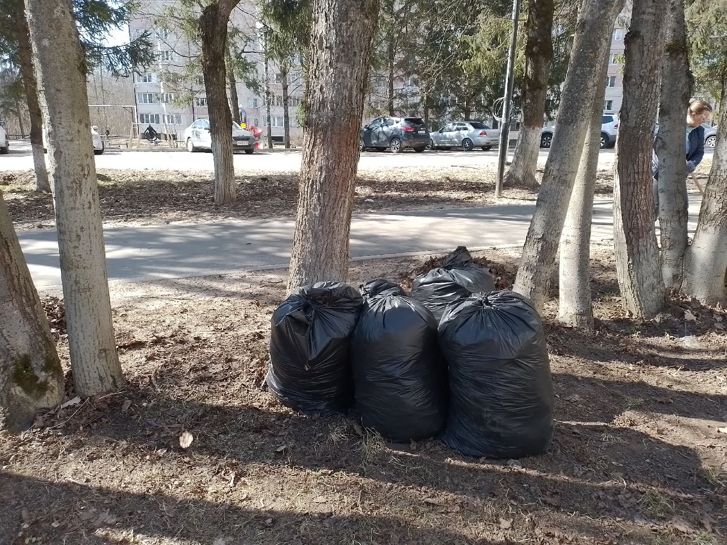 городской округ восход, субботник, благоустройство, общеобластной субботник,
