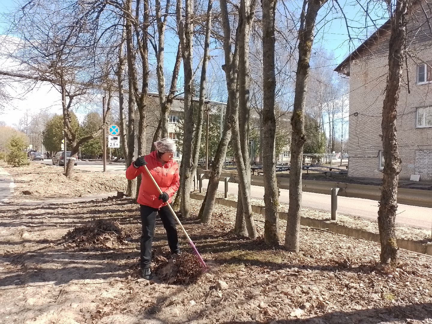 городской округ восход, субботник, благоустройство, общеобластной субботник,