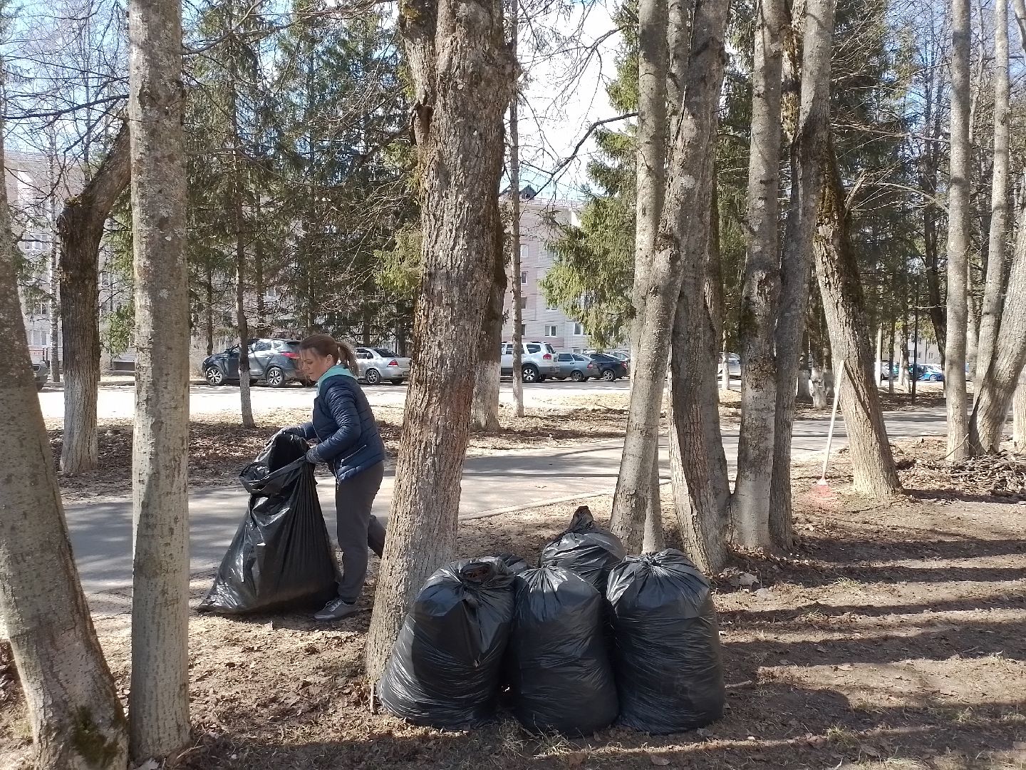 городской округ восход, субботник, благоустройство, общеобластной субботник,