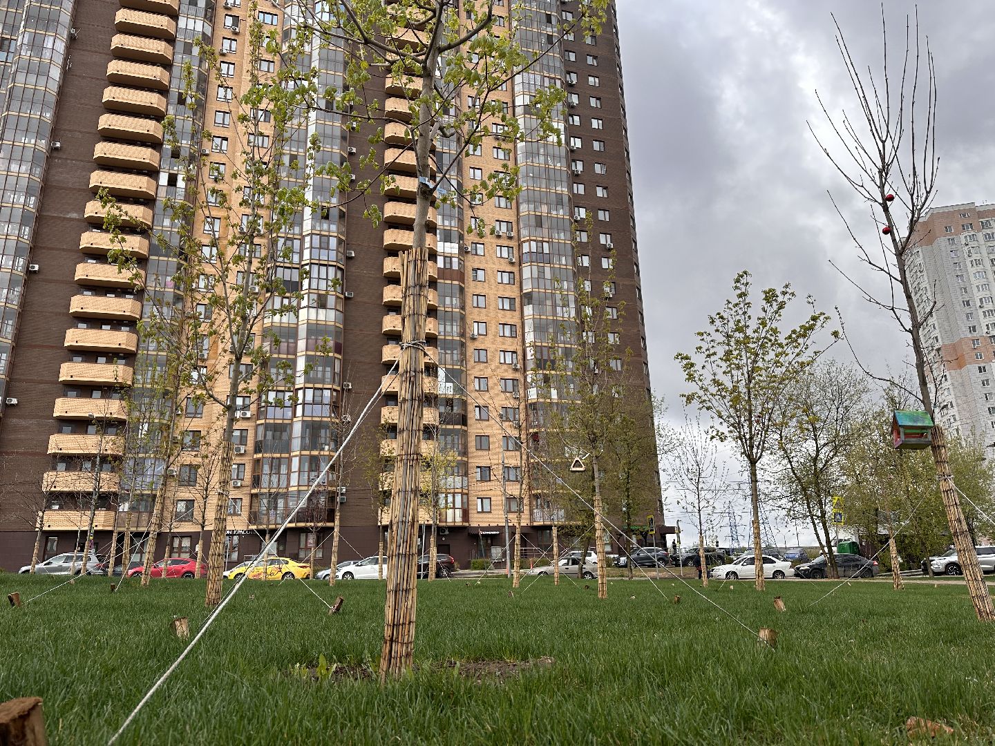 Одинцово, Союзный, Благоустройство, Газон, Парки Подмосковья