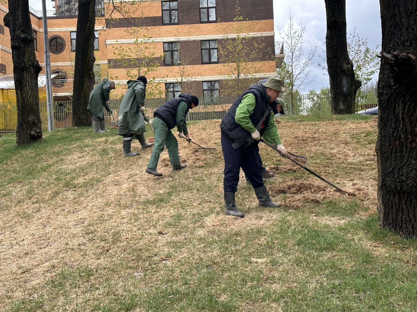 Одинцово, Союзный, Благоустройство, Газон, Парки Подмосковья