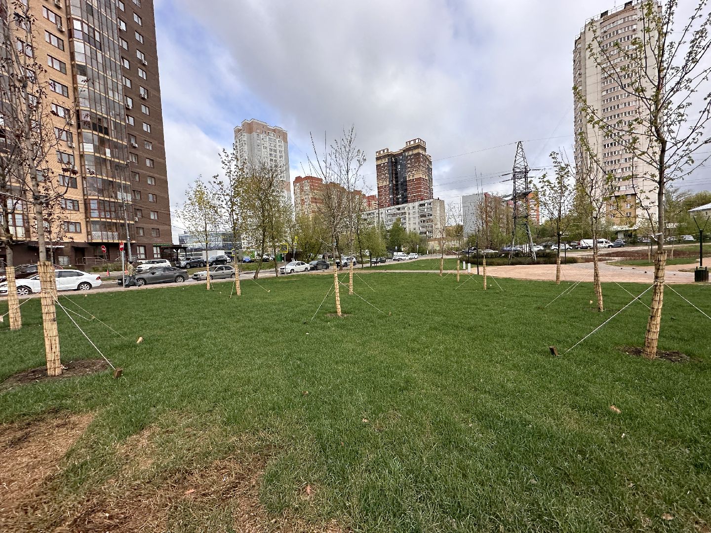 Одинцово, Союзный, Благоустройство, Газон, Парки Подмосковья