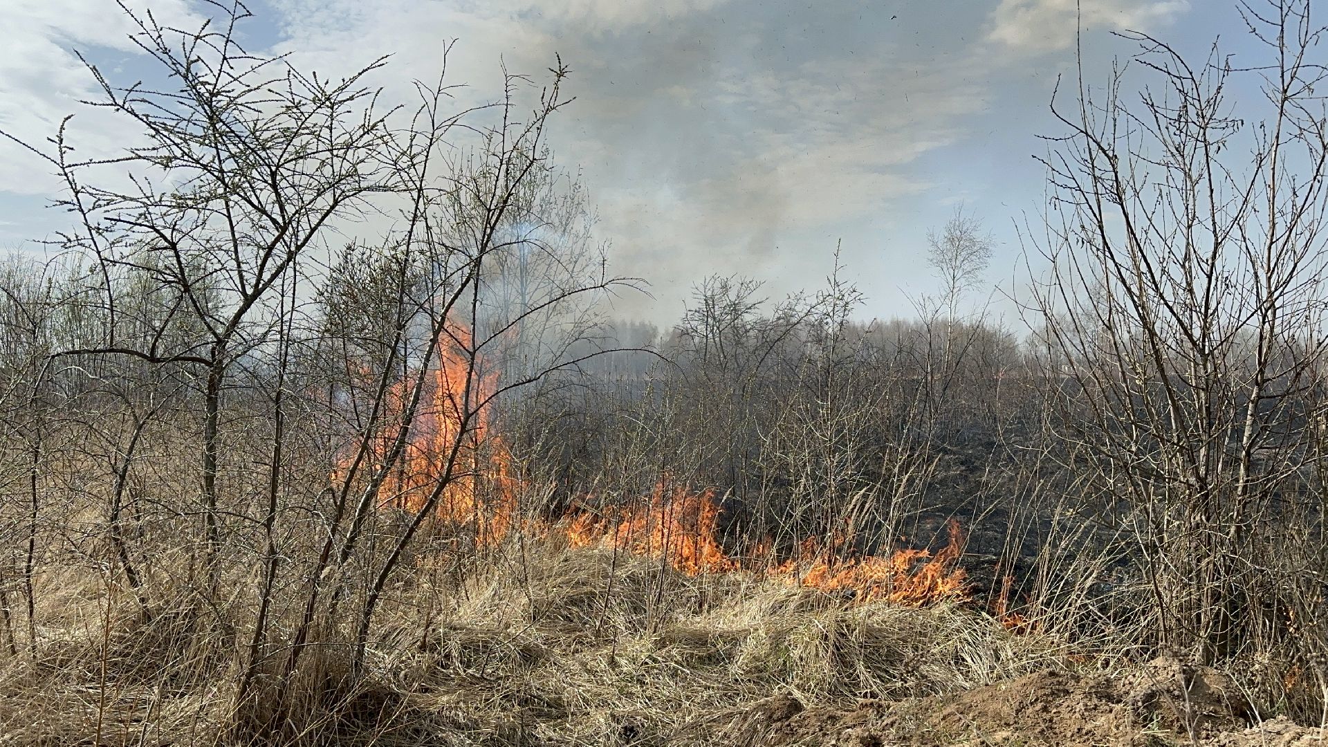 пожар, мчс, домодедово,