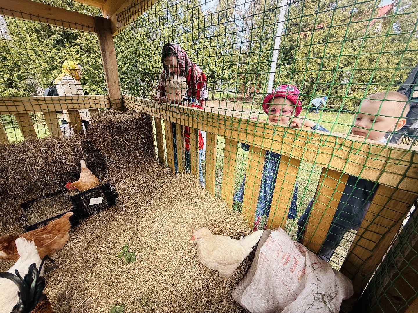 раменское, пасха, троицкий храм, троицкий храм раменское, освящение яиц,