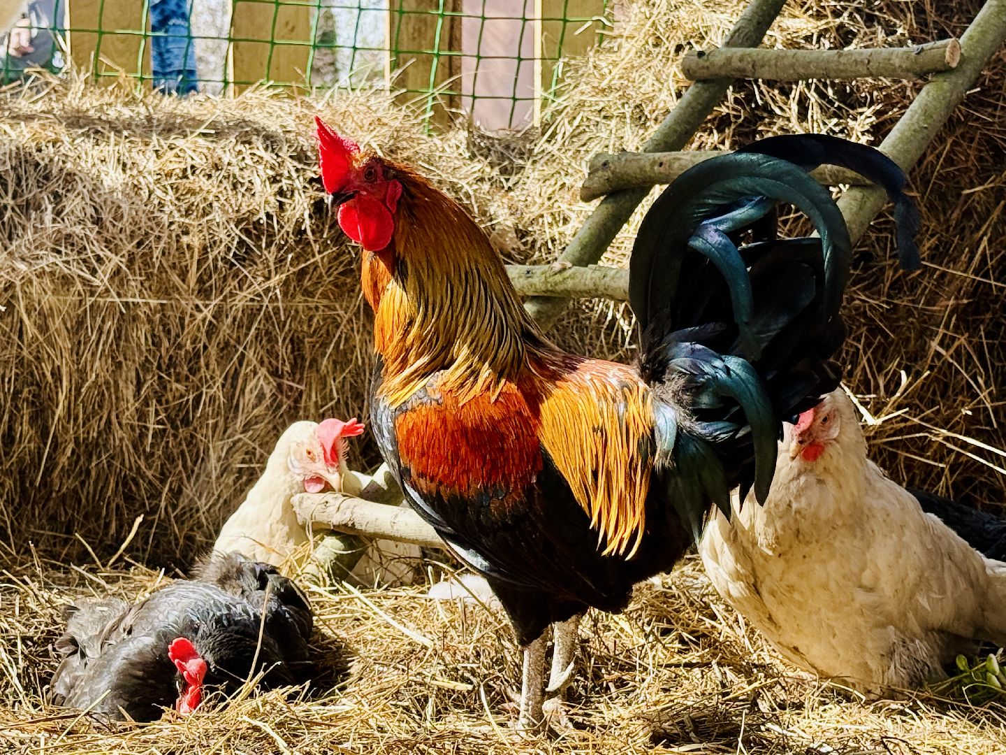 раменское, пасха, троицкий храм, троицкий храм раменское, освящение яиц,