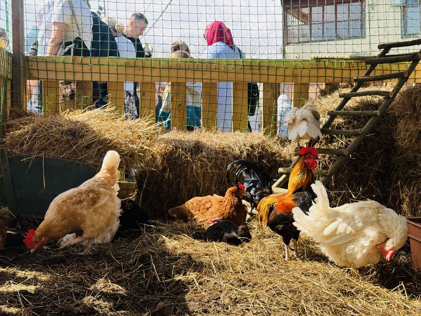 раменское, пасха, троицкий храм, троицкий храм раменское, освящение яиц,