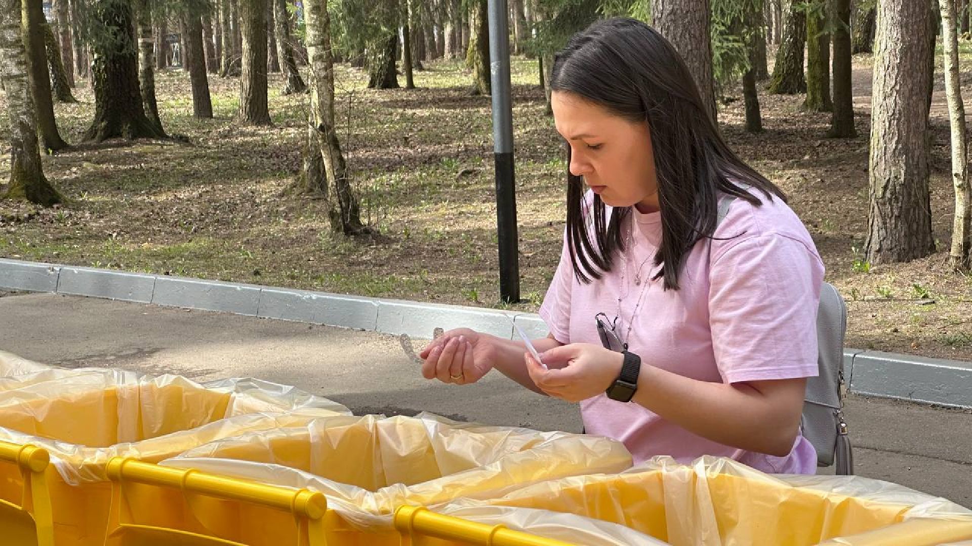 экология, раздельный сбор мусора, домодедово,