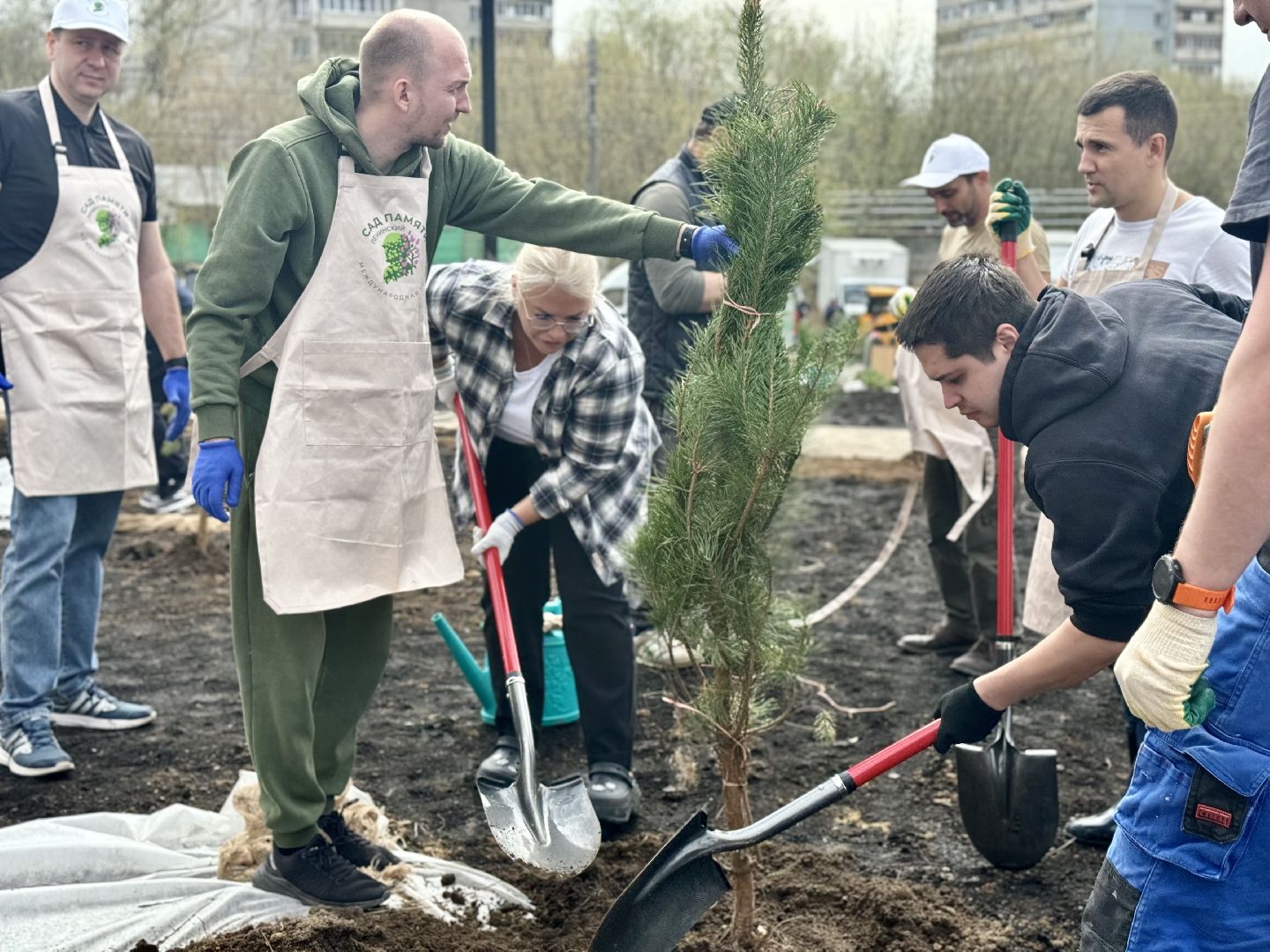 высадка деревьев, ленинский городской округ, субботник,