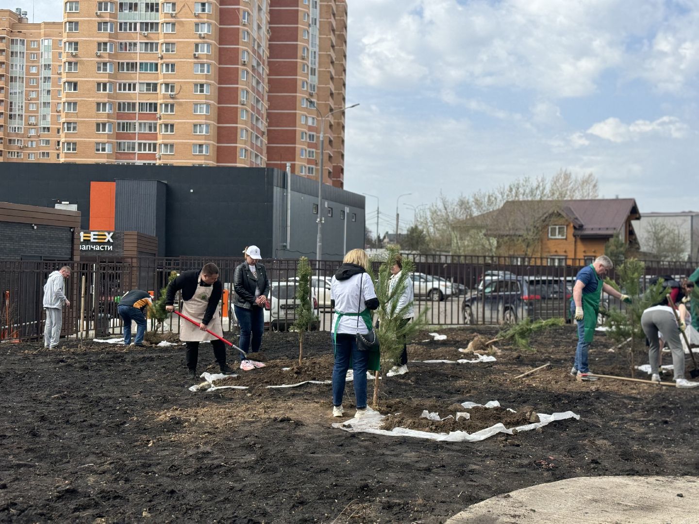 высадка деревьев, ленинский городской округ, субботник,