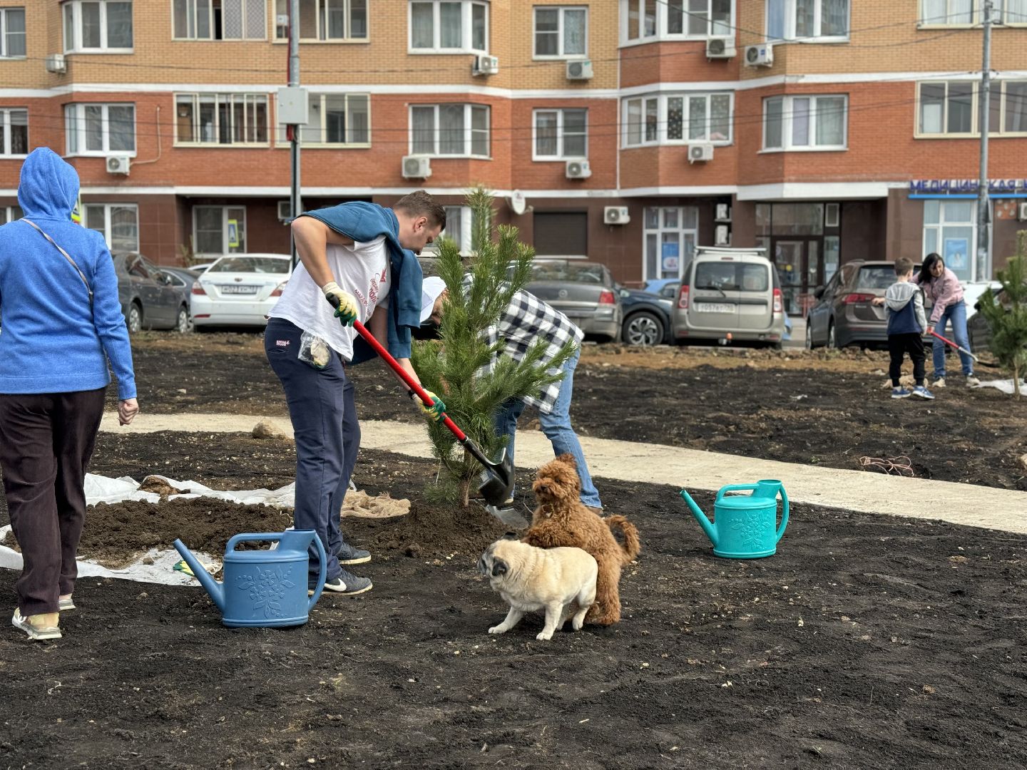 высадка деревьев, ленинский городской округ, субботник,