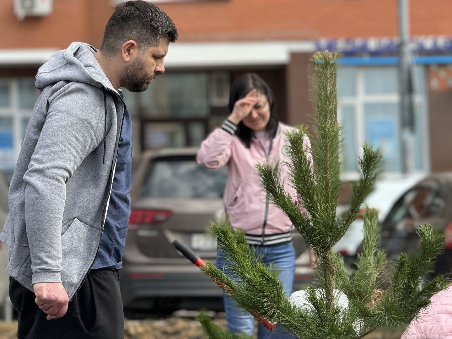 высадка деревьев, ленинский городской округ, субботник,