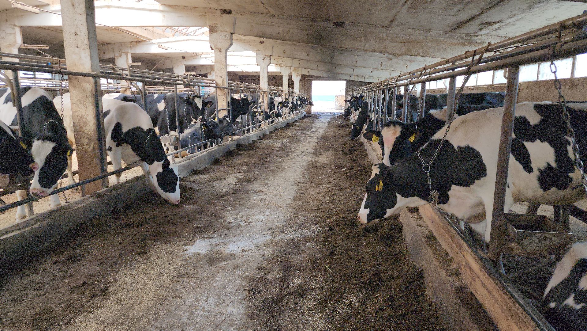 ферма, ферма цветковых, расширение производства, щёлково,