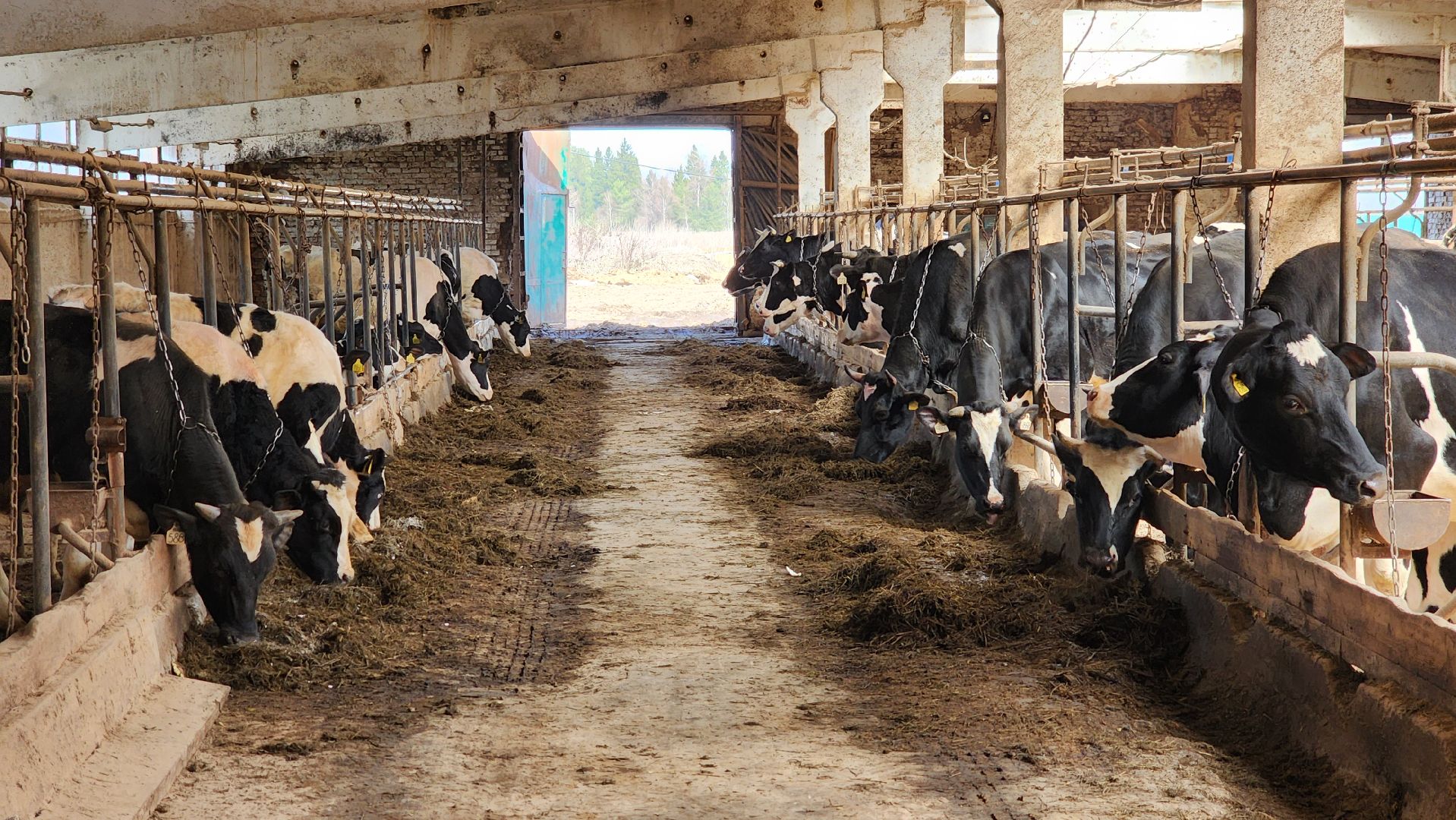 ферма, ферма цветковых, расширение производства, щёлково,