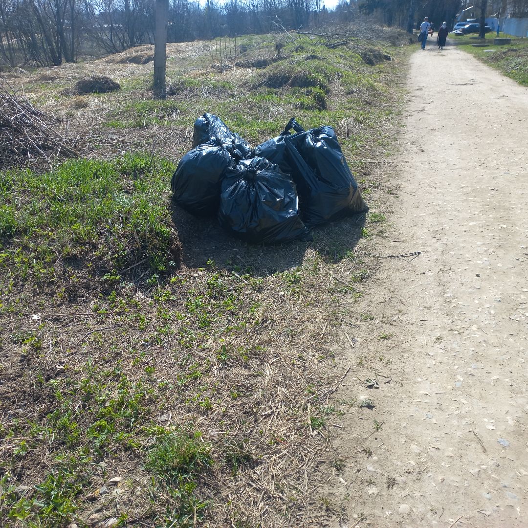 сергиев посад, хотьково, субботник, благоуствойство,