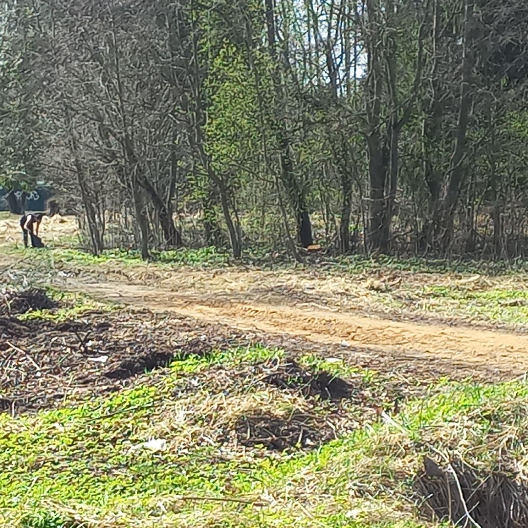 сергиев посад, хотьково, субботник, благоуствойство,